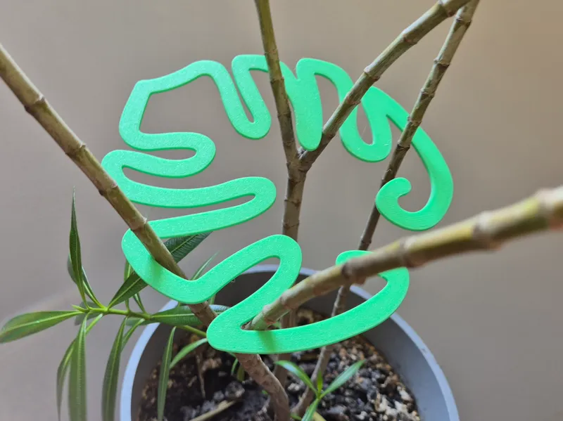 Monstera Leaf Plant Support