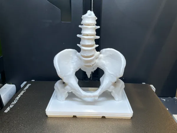 https://makerworld.bblmw.com/makerworld/model/US73949369b12159/design/2025-04-13_60f8ae2b89aa18.jpg