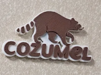 Cozumel - Fridge Magnet
