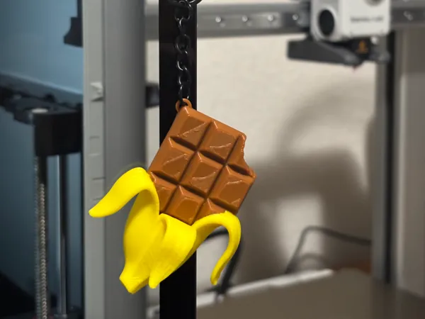 https://makerworld.bblmw.com/makerworld/model/US739e845b83f83e/design/2025-06-01_255734b2a92ad.jpeg