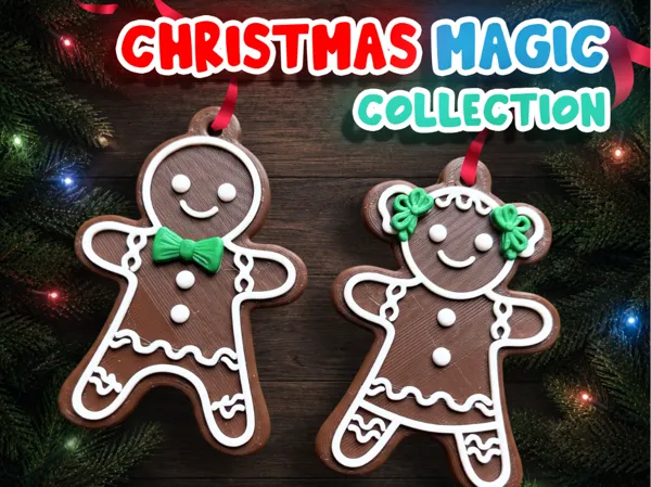 https://makerworld.bblmw.com/makerworld/model/US739ef430e7e09/design/98669a6b314265fb.jpg