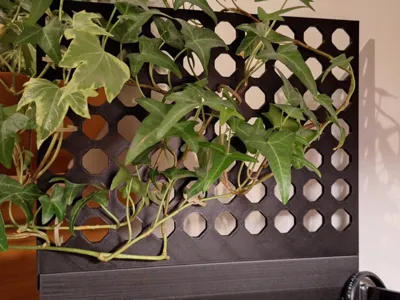 Aquarium plant support
