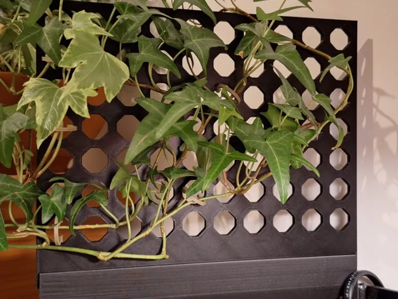 Aquarium plant support