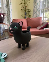 Large Cat Planter with fuzz