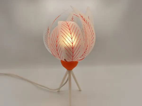 https://makerworld.bblmw.com/makerworld/model/US73ade0c47415de/design/2025-01-06_9e5d101e9738c.jpg