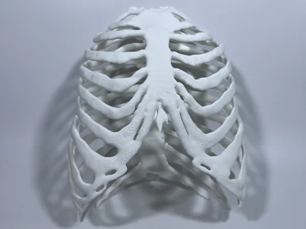 https://makerworld.bblmw.com/makerworld/model/US73b2f6bfdd05a6/design/2025-10-15_8204900f8a2c48.jpg