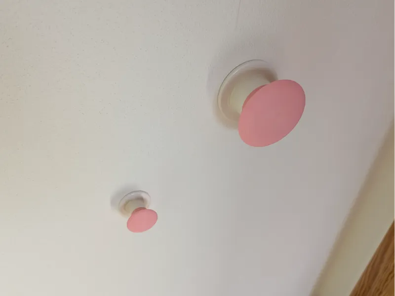 Losjön cap