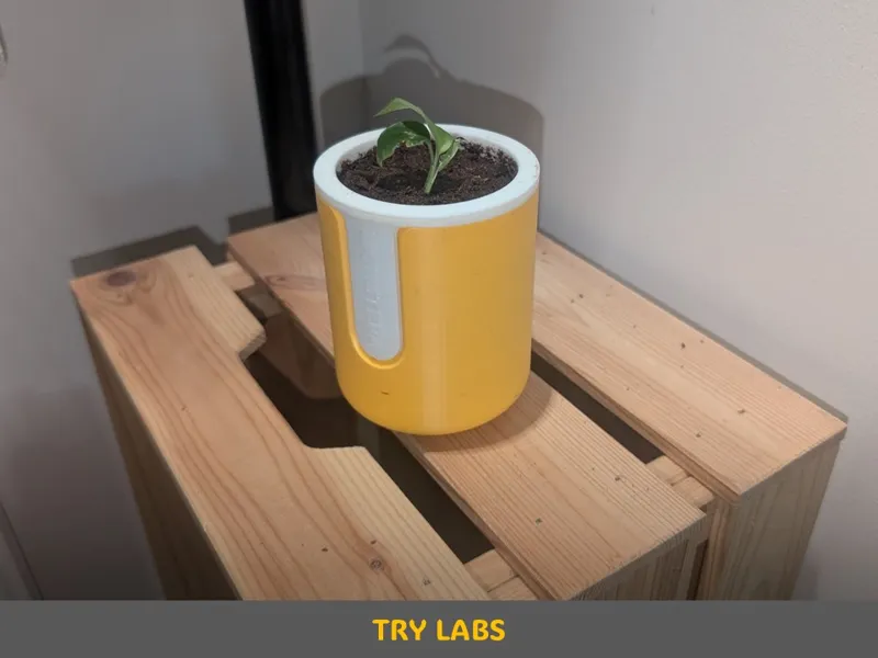 Plant pot - Custom text - Modern style