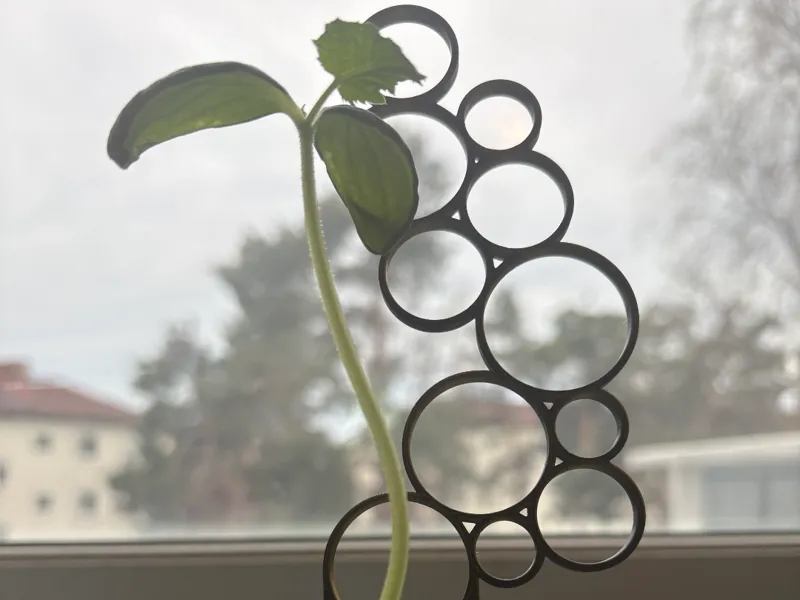 modern plant support trellis made up of circles