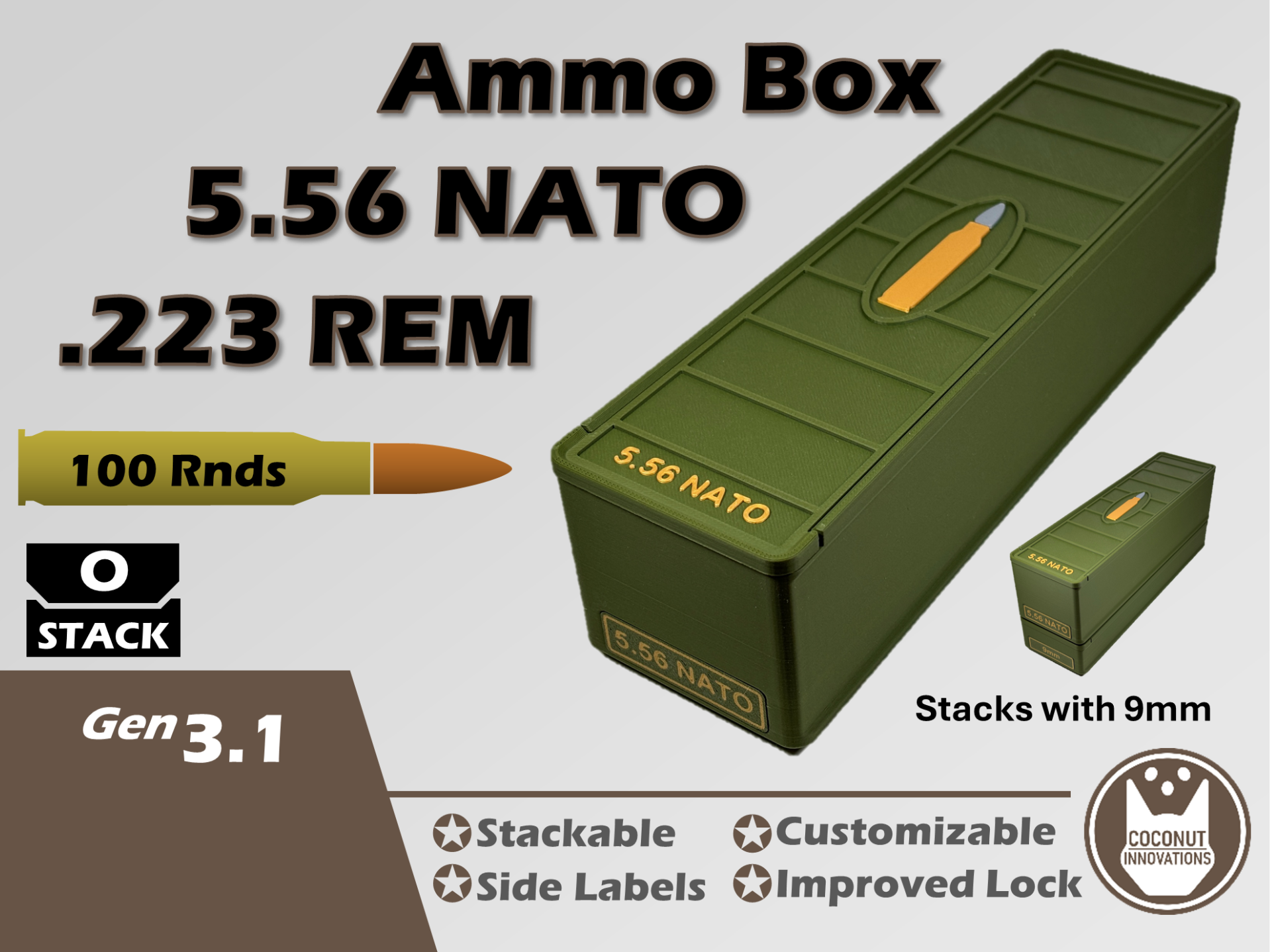 Ammo Storage Box 5.56 / 0.223 Remington 100 Rounds