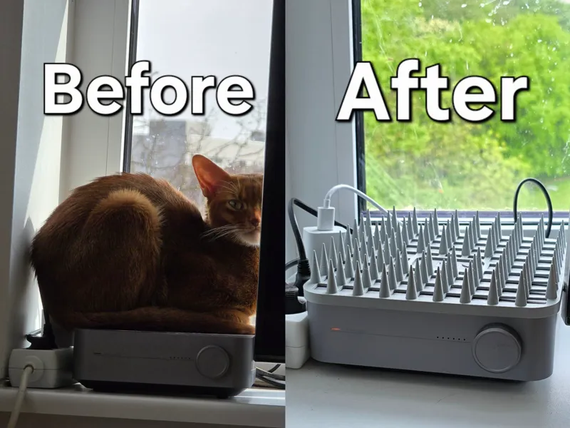 WiiM Amp Pro anti cat cover