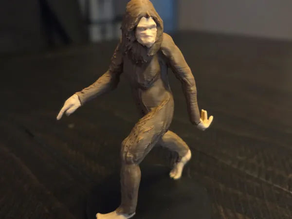 https://makerworld.bblmw.com/makerworld/model/US73c4cd48a63fc9/design/2025-06-26_57d434b053bc88.jpg
