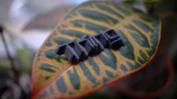 https://makerworld.bblmw.com/makerworld/model/US73cf760bedc3cc/design/2024-04-07_u5reniunkssl.jpg