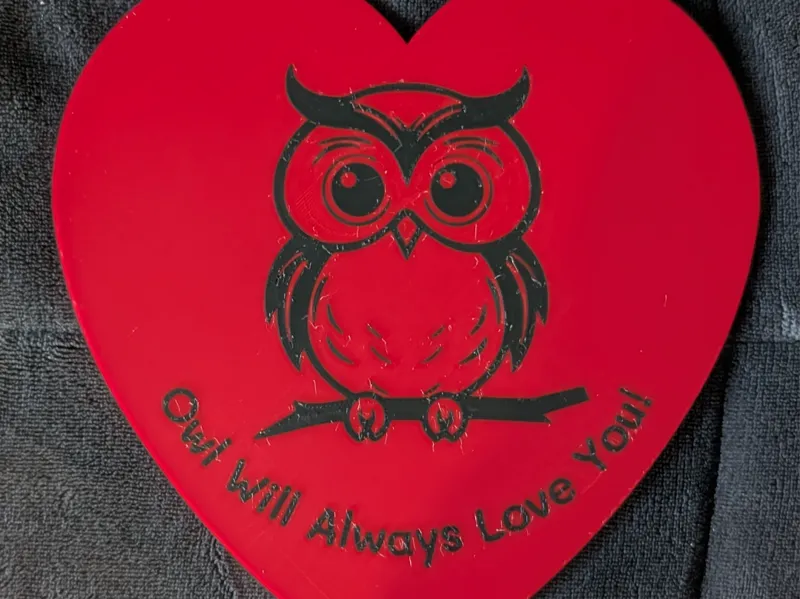 Owl Will Always Love You
