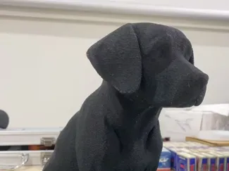 My Labrado