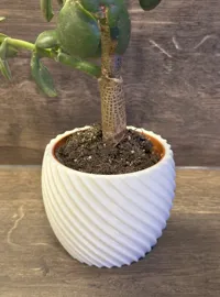 Pot de plante cercle courbé — photo 1