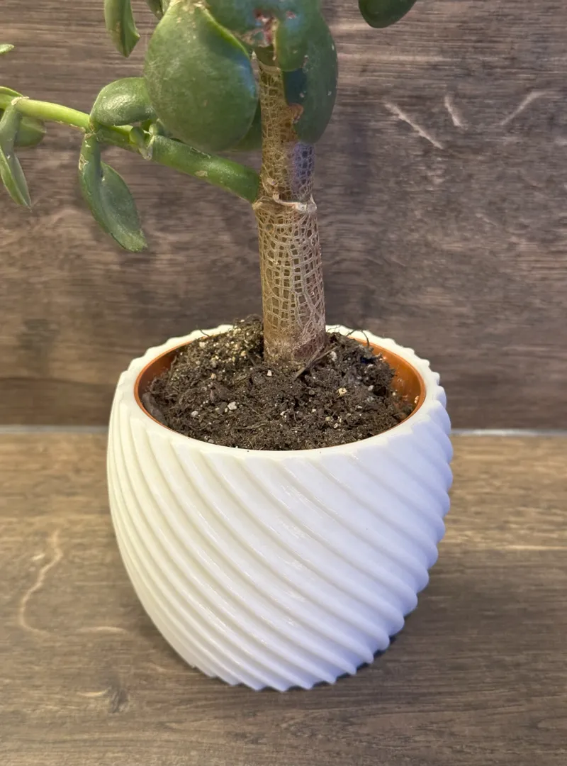 Plant Pot "Curved Circle"
