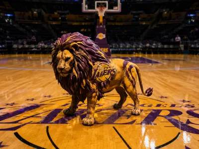 NBA - Los Angeles  Lakers Sculpt 