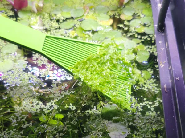 https://makerworld.bblmw.com/makerworld/model/US73e18ddbfdfd65/design/2024-08-21_f8103f775974f.jpeg