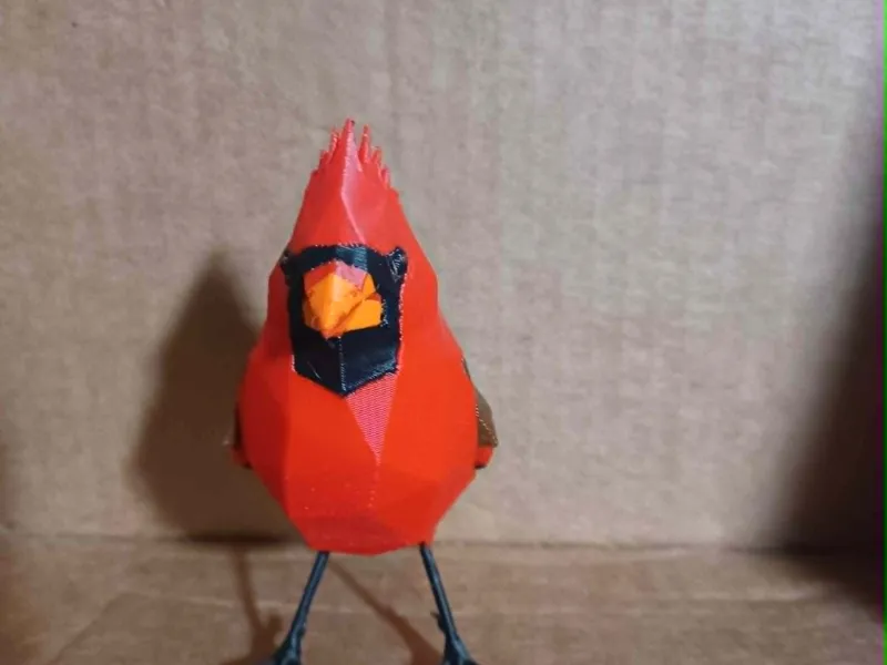 bird ( cardinal )
