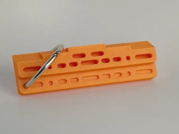 https://makerworld.bblmw.com/makerworld/model/US73f0dbcb4b77e9/design/2024-11-04_aea3135b94561.jpg