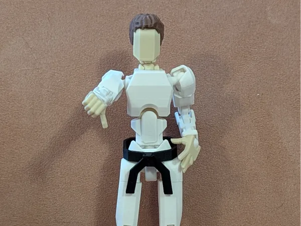 https://makerworld.bblmw.com/makerworld/model/US73f193c58ae1de/design/2025-01-31_6cf351966a4d8.jpg