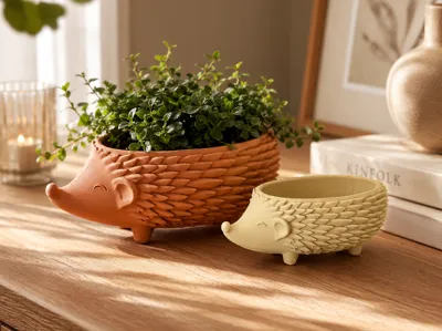 Mini Planter / Bowl - Hedgehog