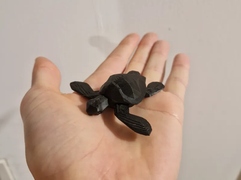 Sea turtle
