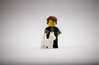 Dog brick
