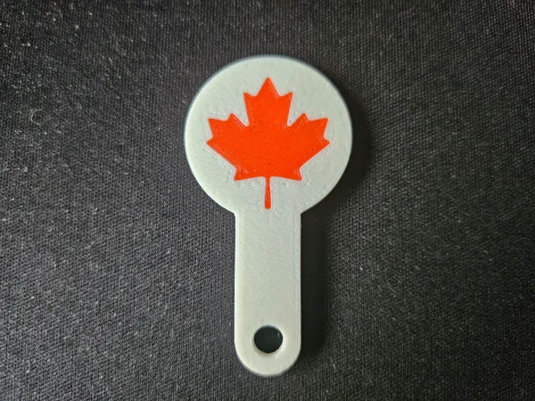https://makerworld.bblmw.com/makerworld/model/US73f6b290ad11b9/design/2025-07-04_5b322c95aa3f38.jpg