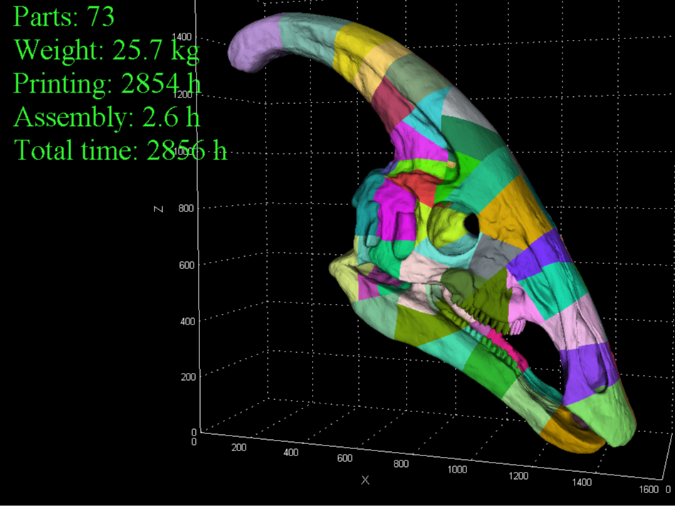Lifesize Parasaurolophus Skull (2000mm)