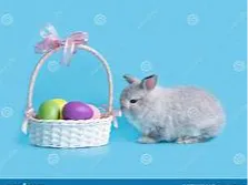 THE EASTER BUNNY NAMED NIBBLES