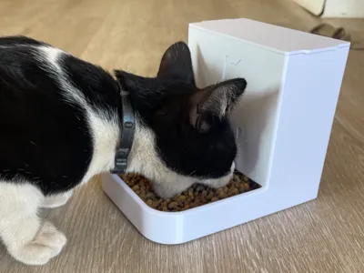 Minimalist Cat Feeder-Gravity Cat Feeder