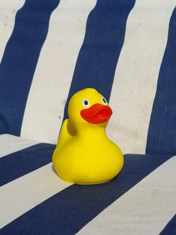 painted rubber ducky