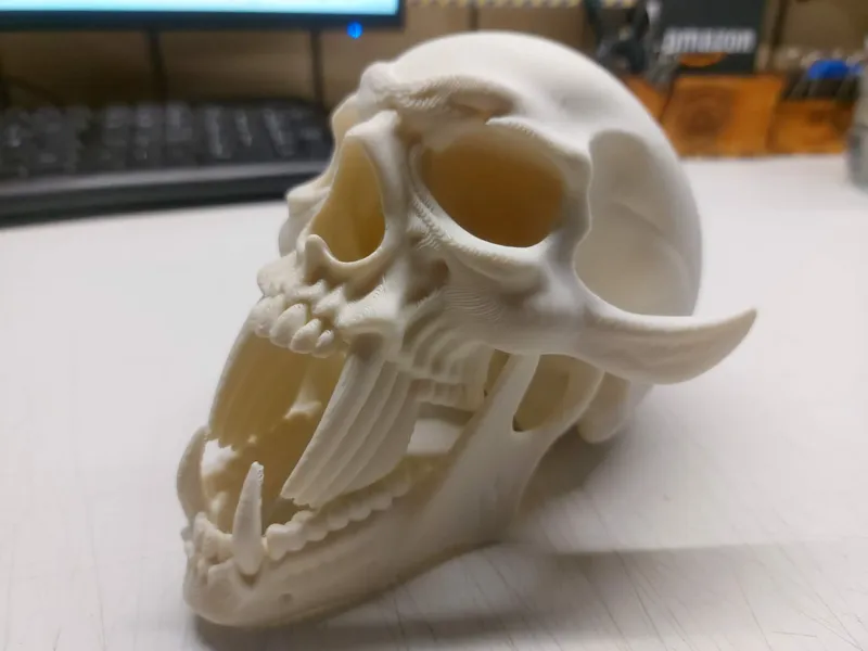Vampire Skull 3