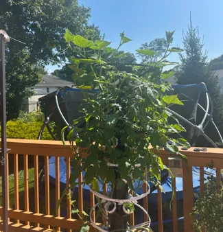 12 pot Hydroponic tower with supports