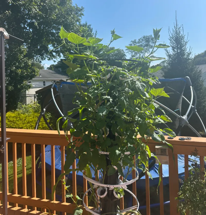 12 pot Hydroponic tower with supports