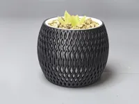 菱窗