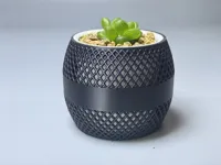 网光