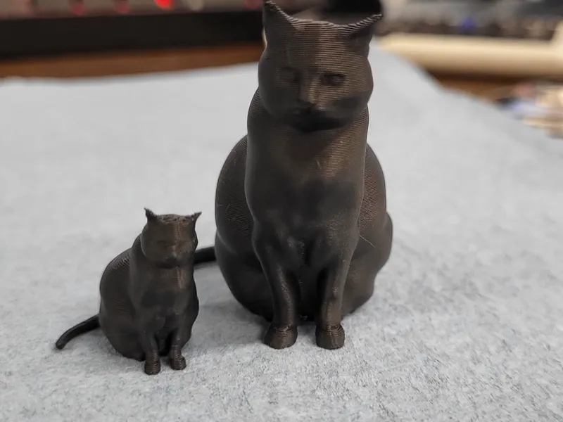Chunky Cat