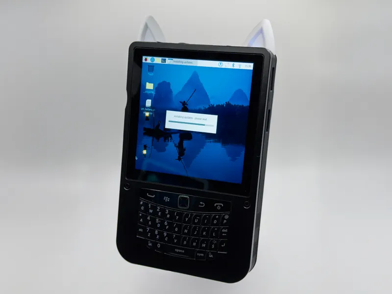 Cat Ears for Hackberry Pi CM5