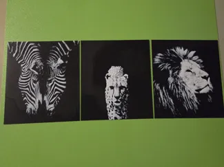 Zebra leopard Lion HueForge