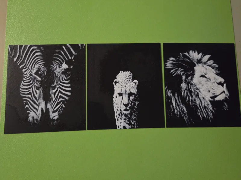 Zebra leopard Lion HueForge