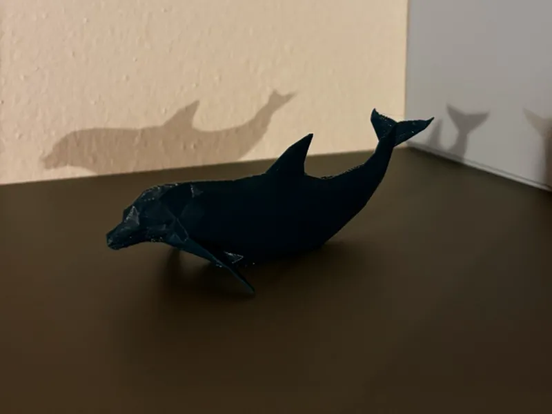 Low Poly Dolphin