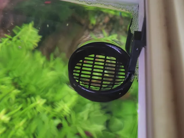 https://makerworld.bblmw.com/makerworld/model/US74164fbb4f5149/design/2025-09-30_9b9c8317049808.jpg