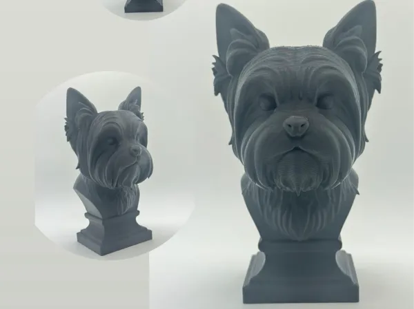 https://makerworld.bblmw.com/makerworld/model/US7416b57eee622e/design/2025-07-11_a9e192a4bf0ff8.jpg