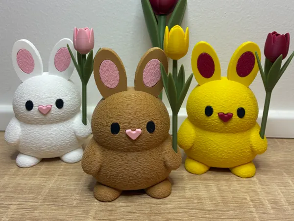 https://makerworld.bblmw.com/makerworld/model/US741a40fa66e185/design/6549a953a26b48bb.jpeg