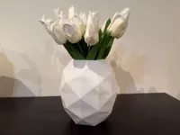 Vase mode, 0.16mm layer, 1 walls, 0% infill