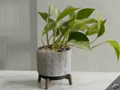 Modern Wave Plant Pot