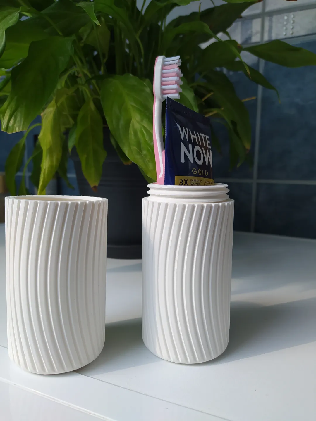 Travel Toothbrush Kit Holder view 2